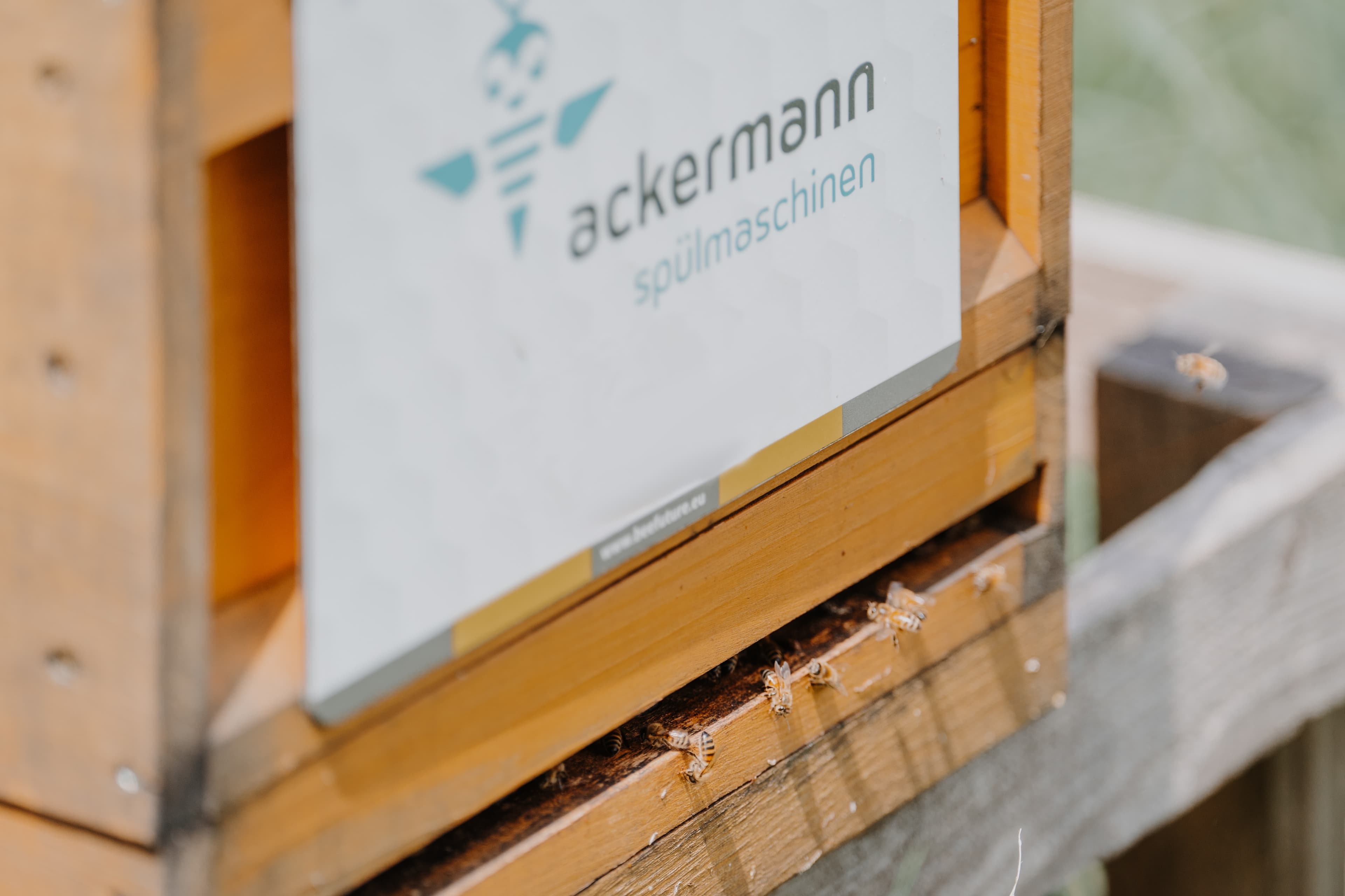 Verantwortung